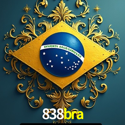 Interface Premium 838bra